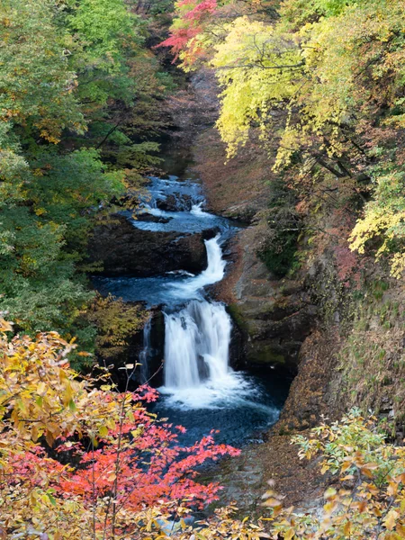 投稿：鳳鳴四十八滝