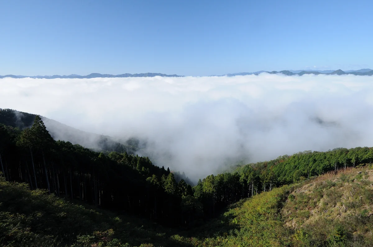 投稿写真：高谷山（横峰山）の雲海