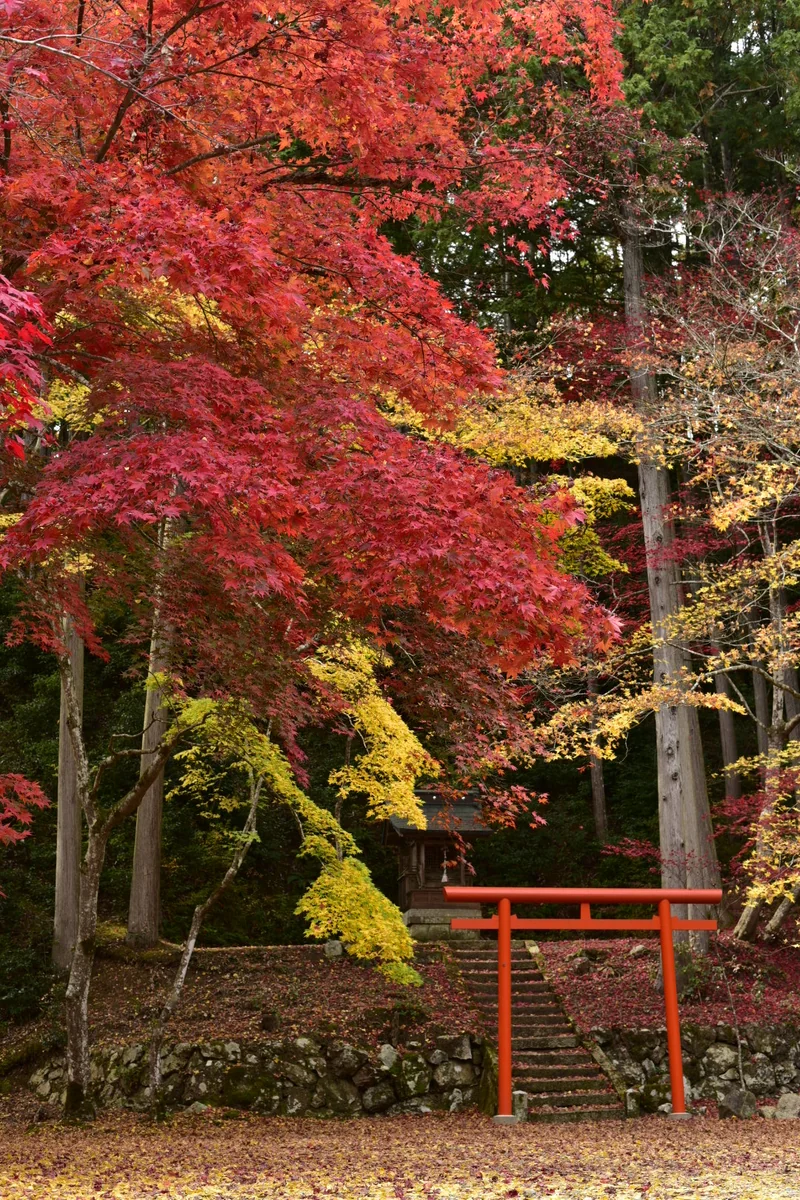 投稿写真：亭々たる秋