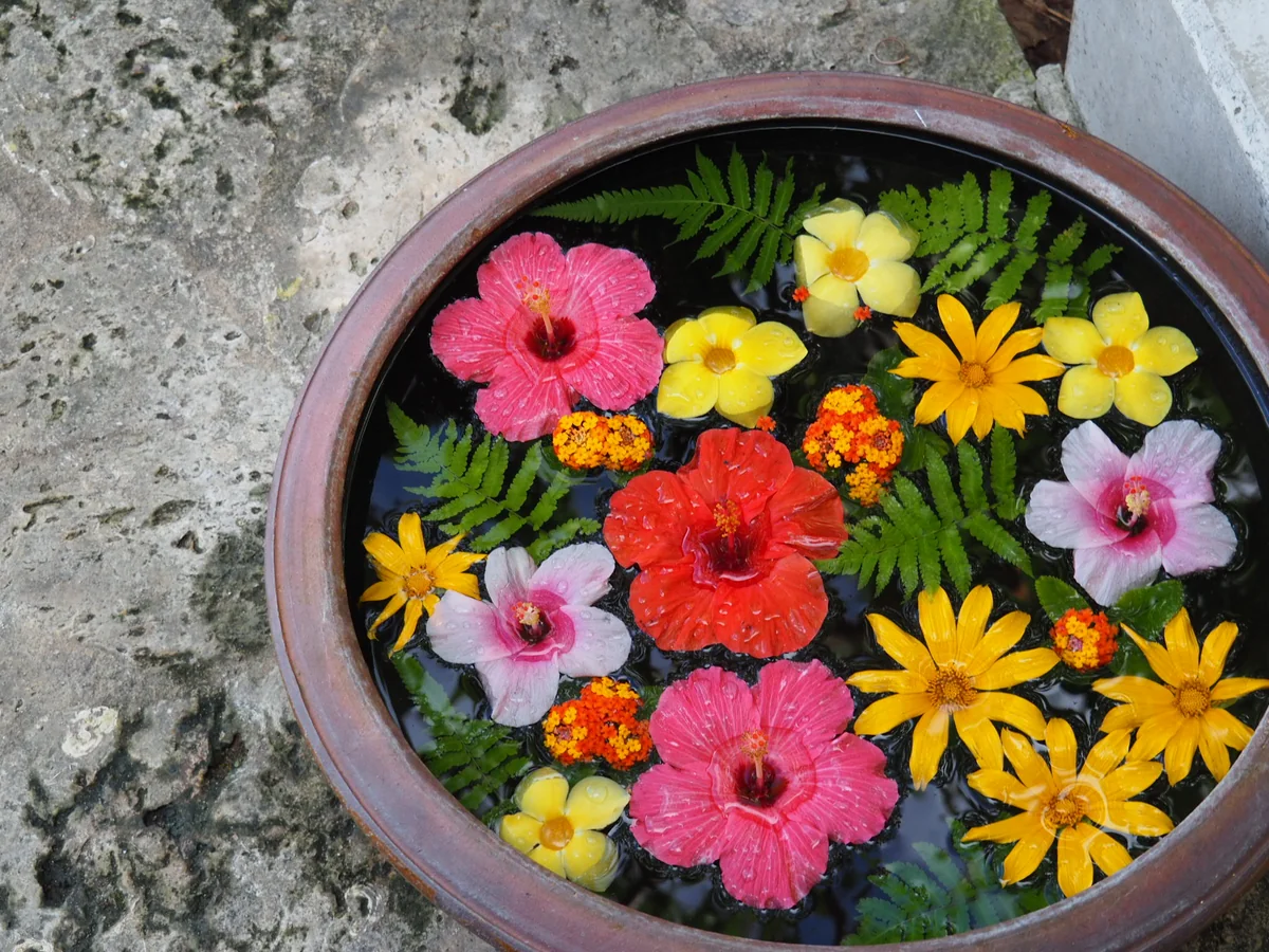 投稿写真：おもてなし