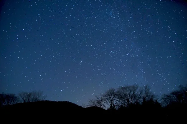 投稿：冬の寒空