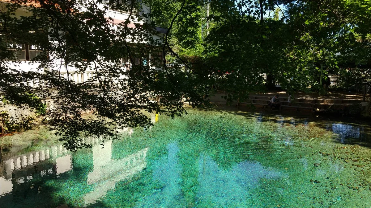 投稿写真：湧水