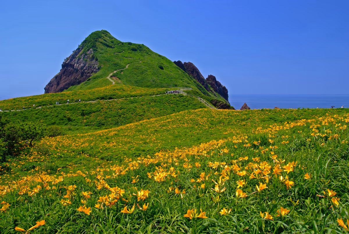 投稿写真：絶景、大野亀
