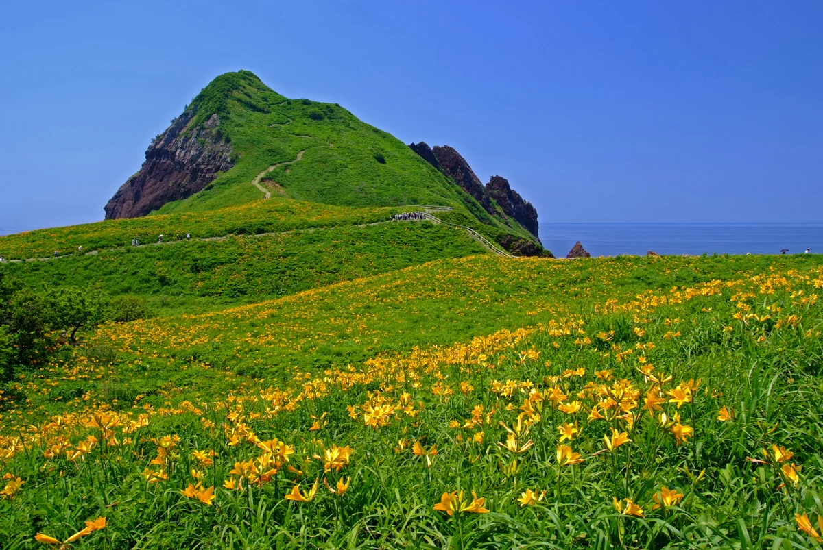 投稿写真：絶景、大野亀