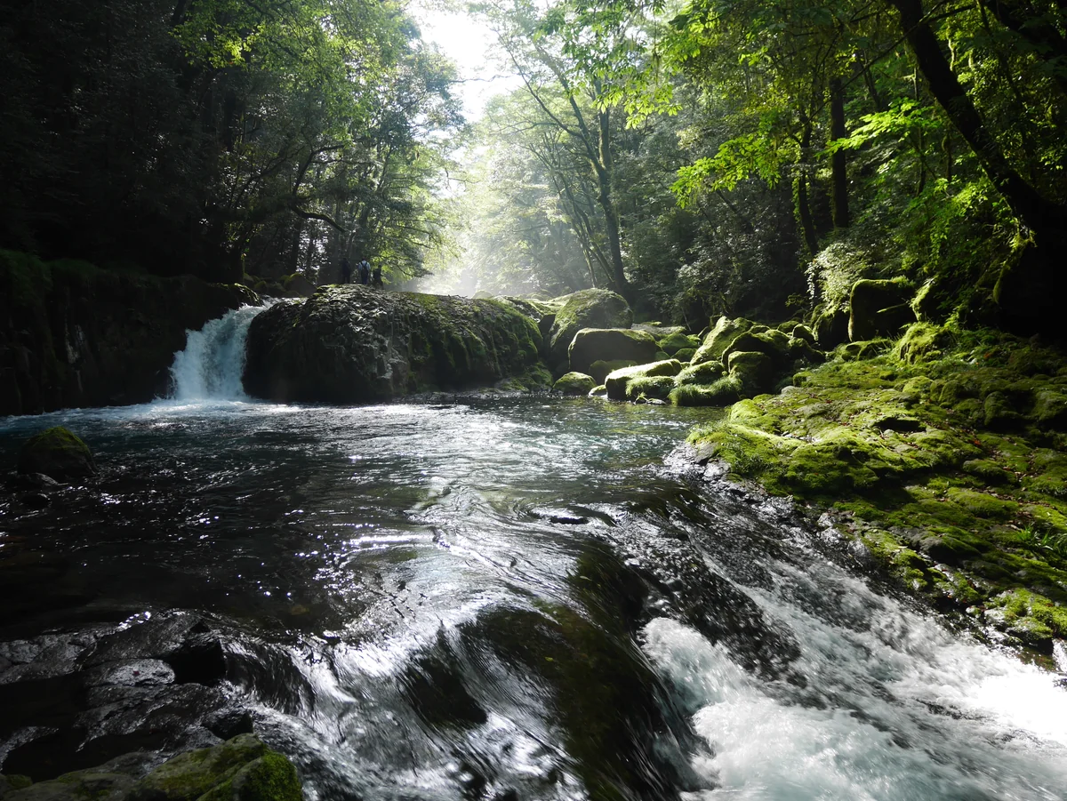 投稿写真：045菊池渓谷（熊本）