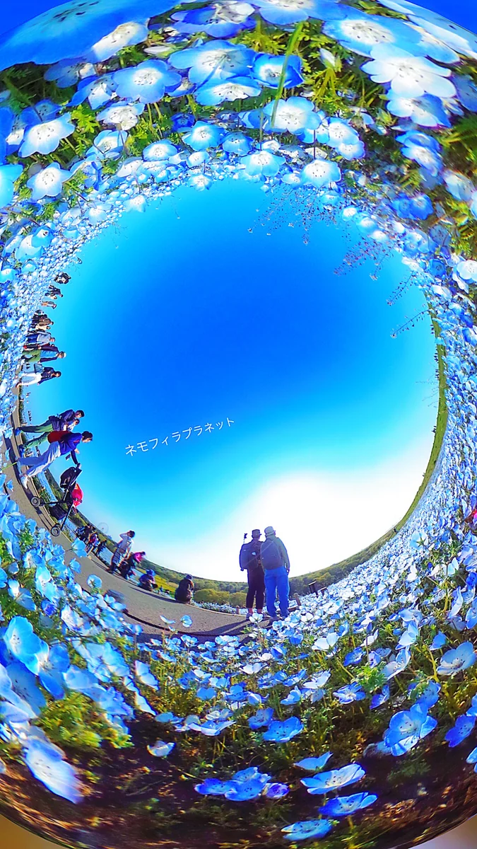 投稿写真：青い天国