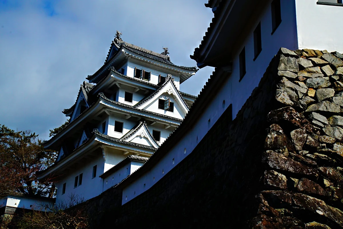 投稿写真：郡上八幡城。