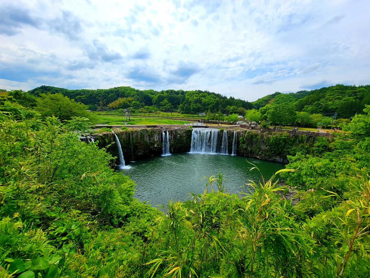 投稿写真：ほらジャングルから覗いているみたい