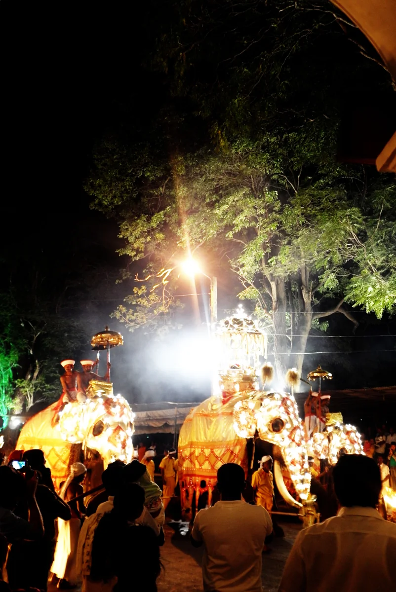 投稿写真：キャンディ・ペラヘラ祭