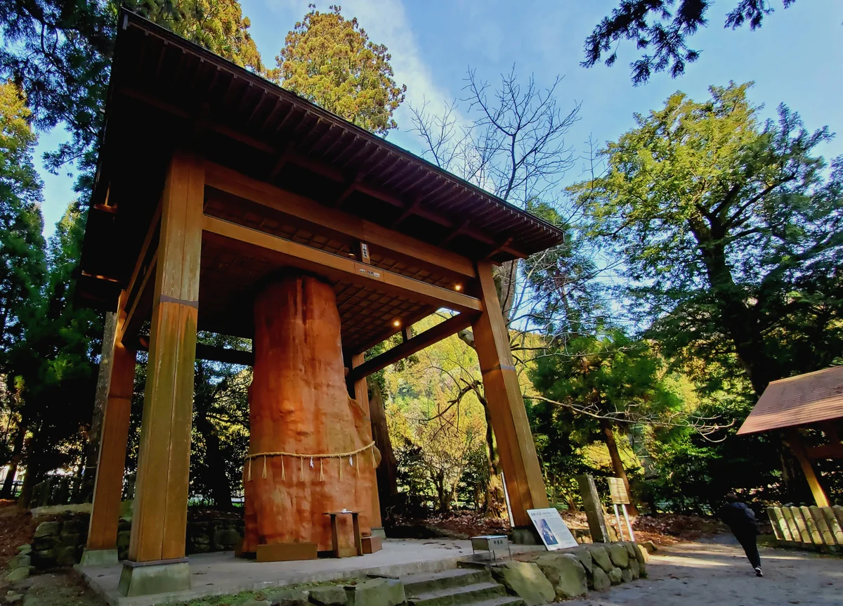 投稿写真：国造神社の大きい杉
