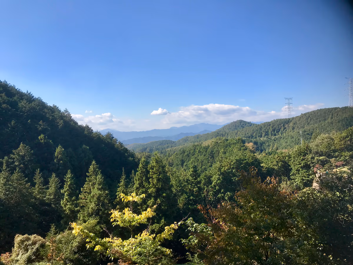 投稿写真：日和田山に向かう高指山付近からの風景