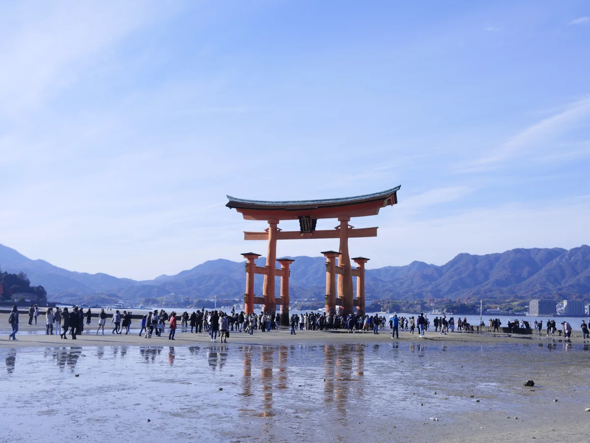 投稿写真：宮島大鳥居