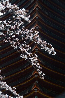  | 絶景事典