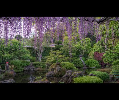  | 絶景事典