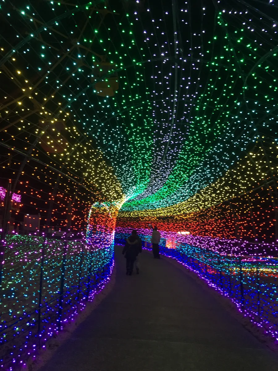 投稿写真：光のトンネル