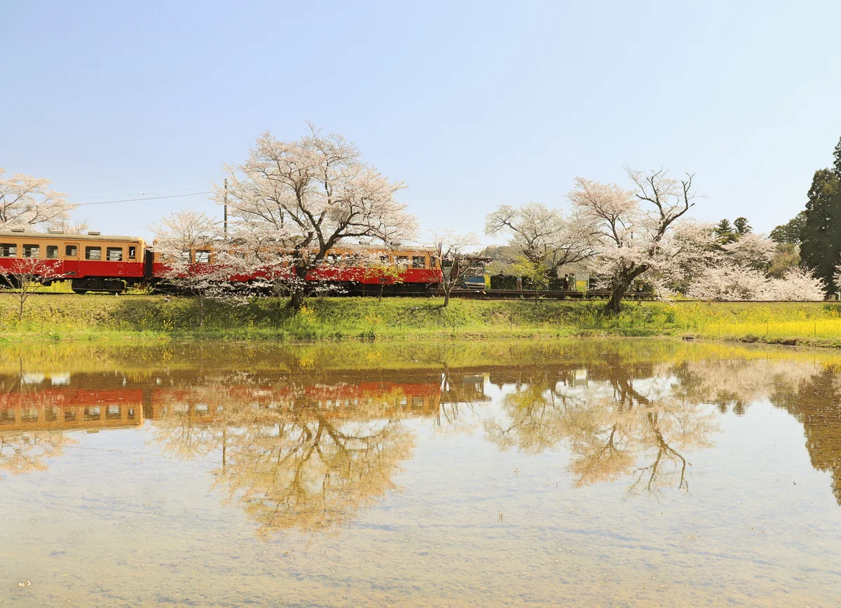 投稿写真：小湊鉄道飯給駅のリフレクション
