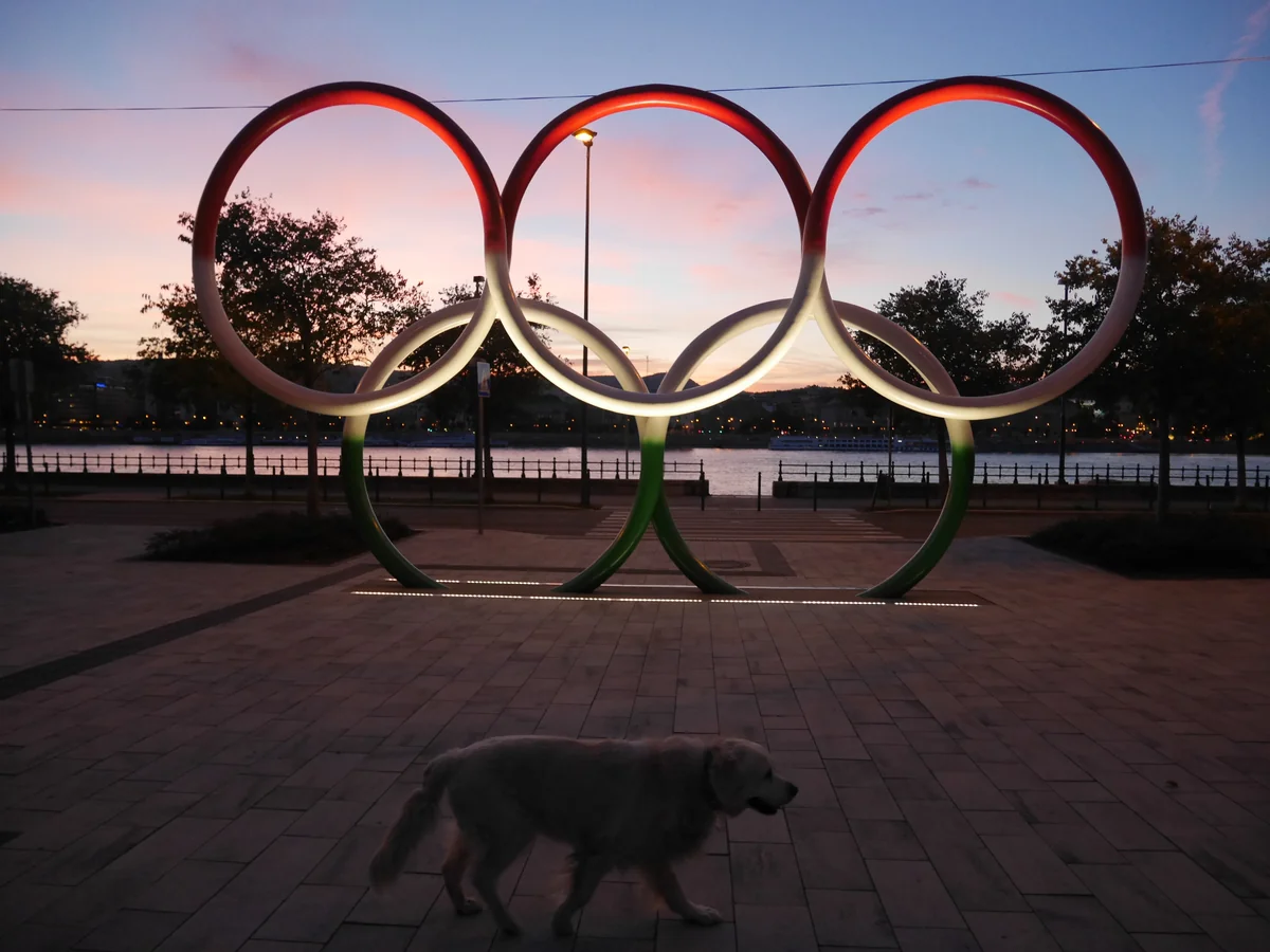 投稿写真：夕暮れの散歩🐕
