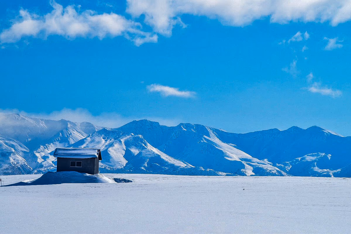 投稿写真：冬の富良野