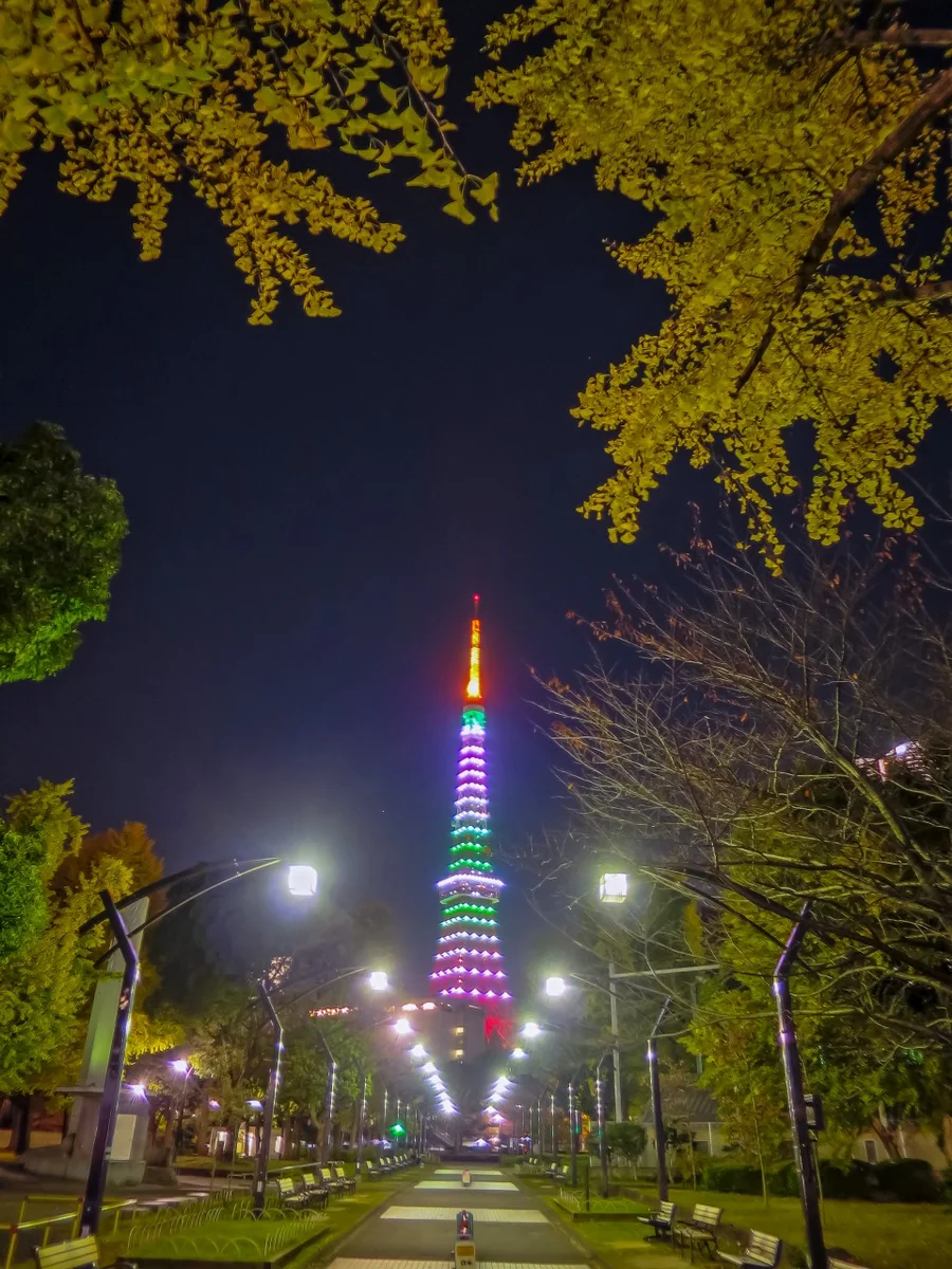 投稿写真：イチョウの黄葉と東京タワー
