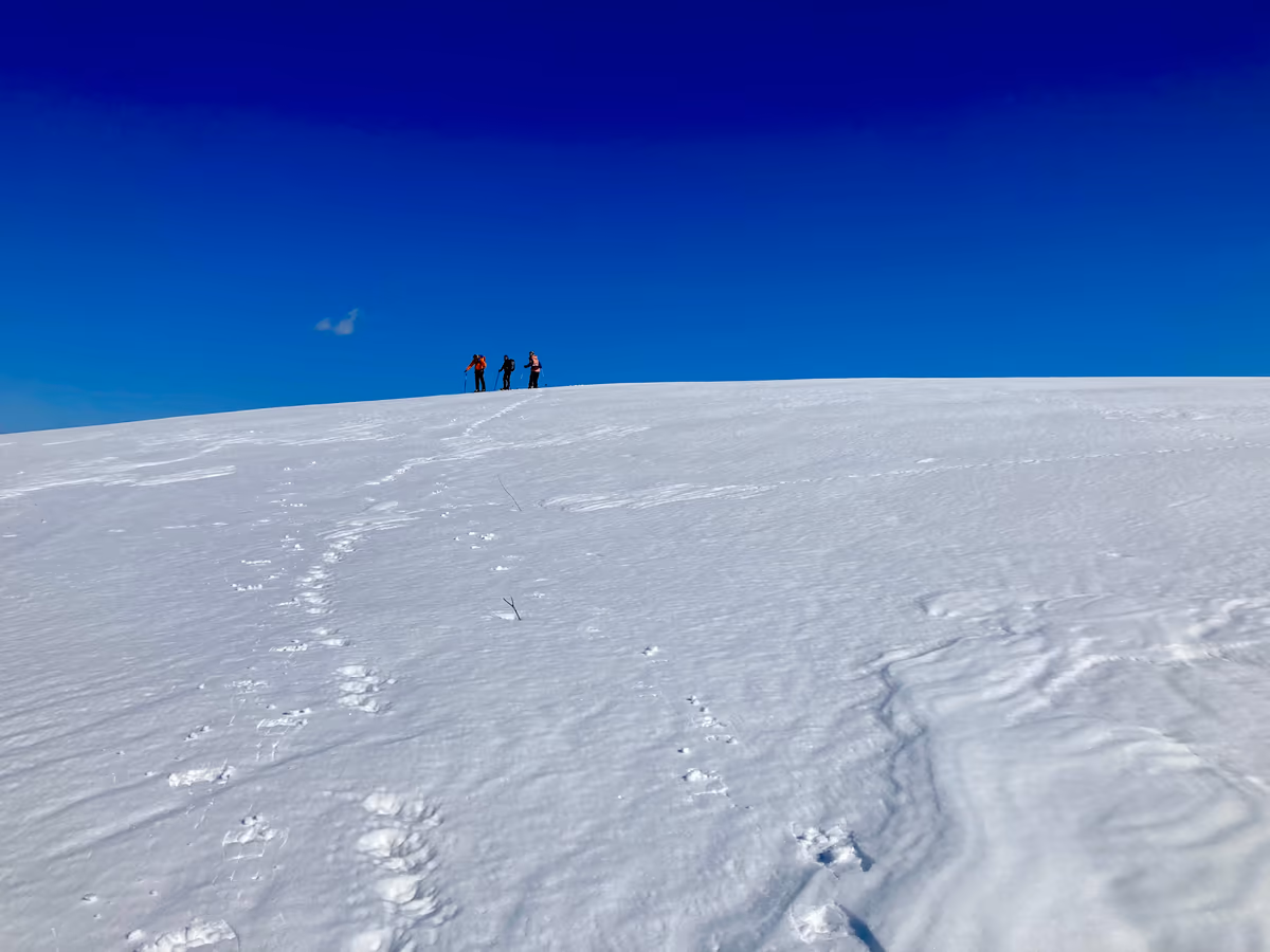 投稿写真：鶴居村の丘
