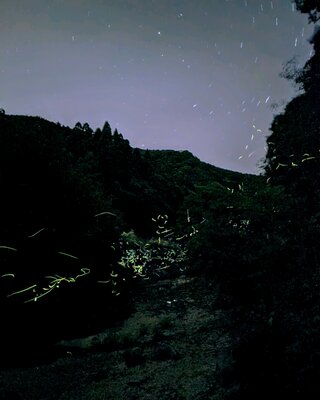  | 絶景事典