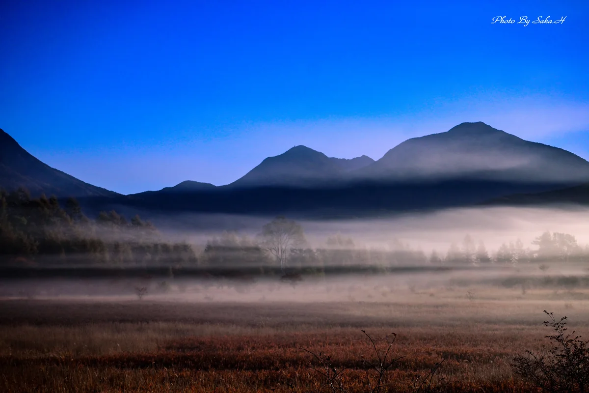 投稿写真：小田代ヶ原