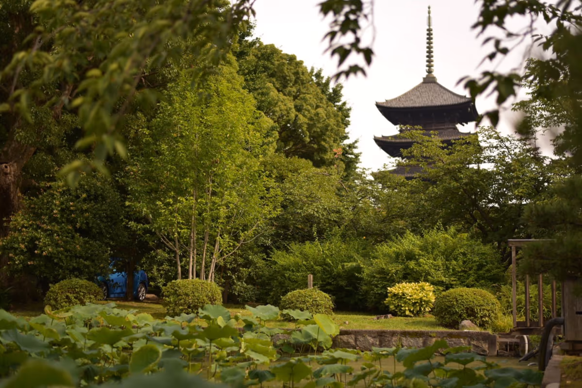 投稿写真：京都 東寺