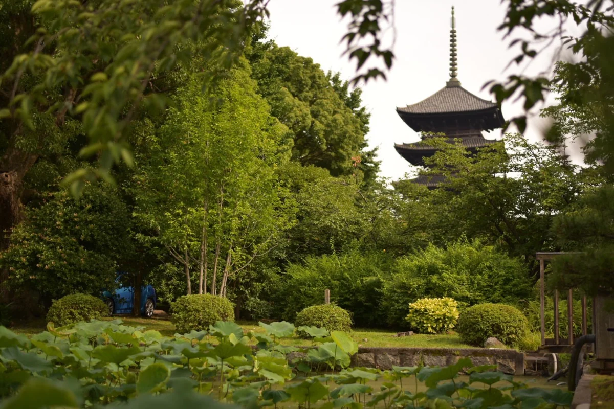 投稿写真：京都 東寺