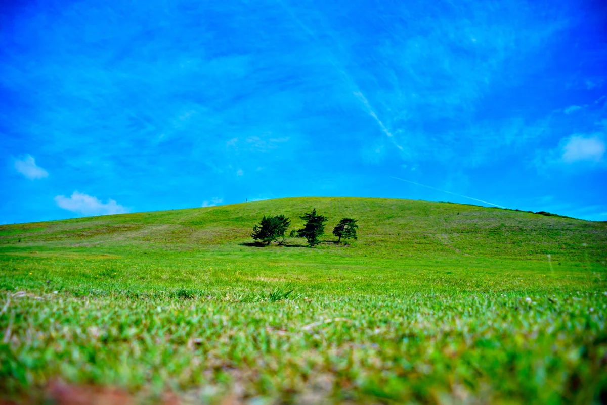 投稿写真：寒風山。