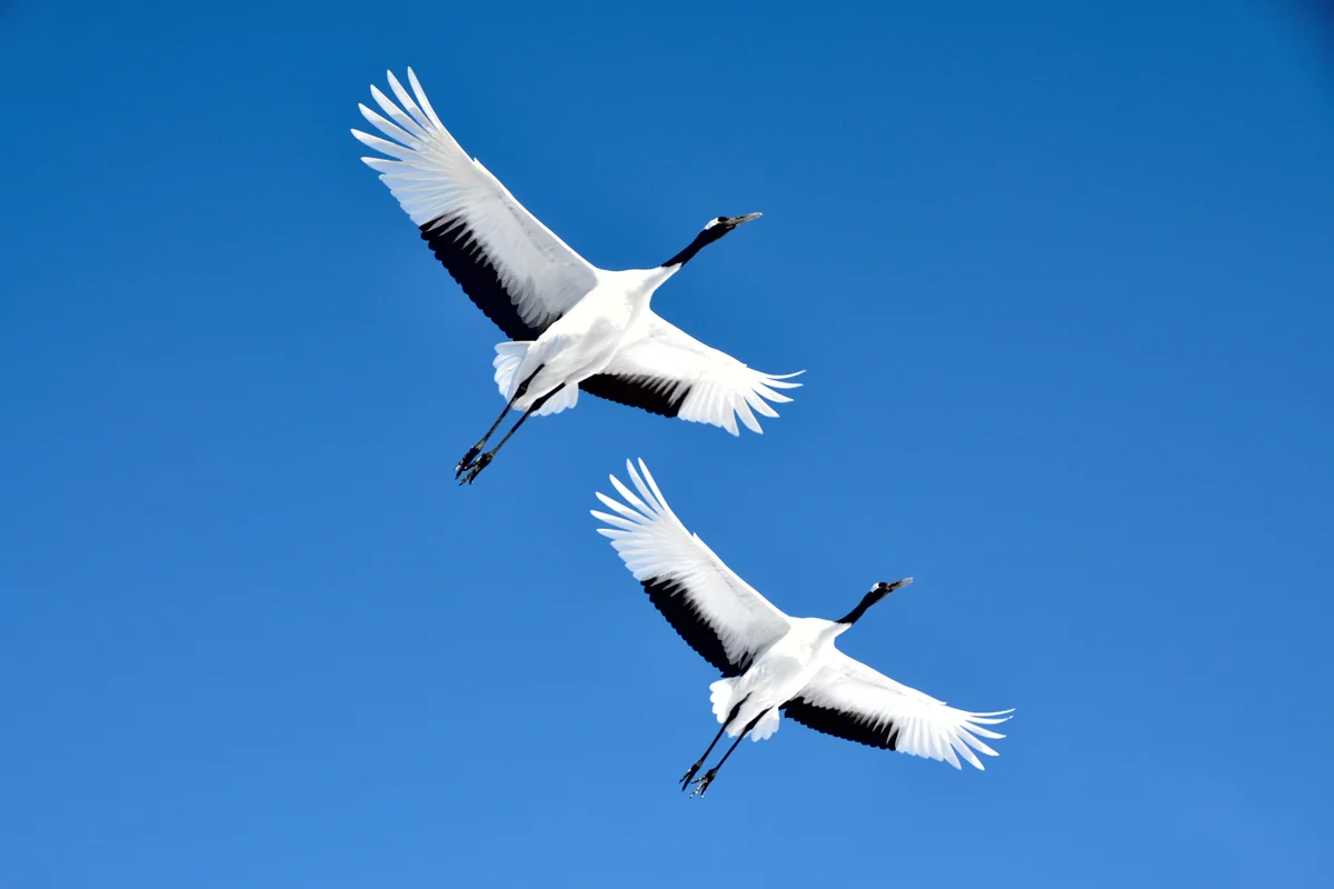 ナベさんの投稿写真