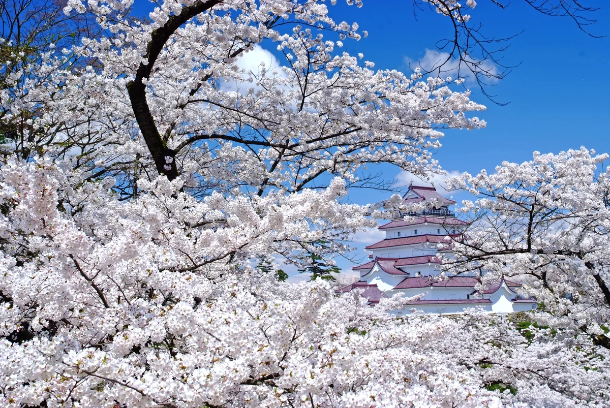 おいどん謙ちゃんさんの投稿写真