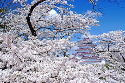 | 絶景事典