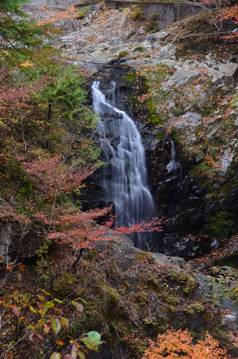 投稿写真：みたらい渓谷　秋のみたらいの滝