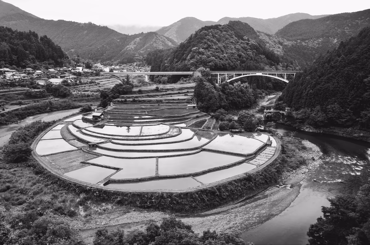 投稿写真：あらぎ島　モノクローム