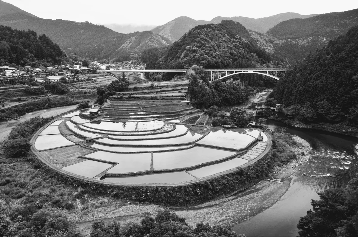 投稿写真：あらぎ島　モノクローム