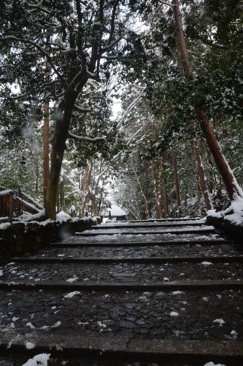 投稿写真：法然院　雪の参道