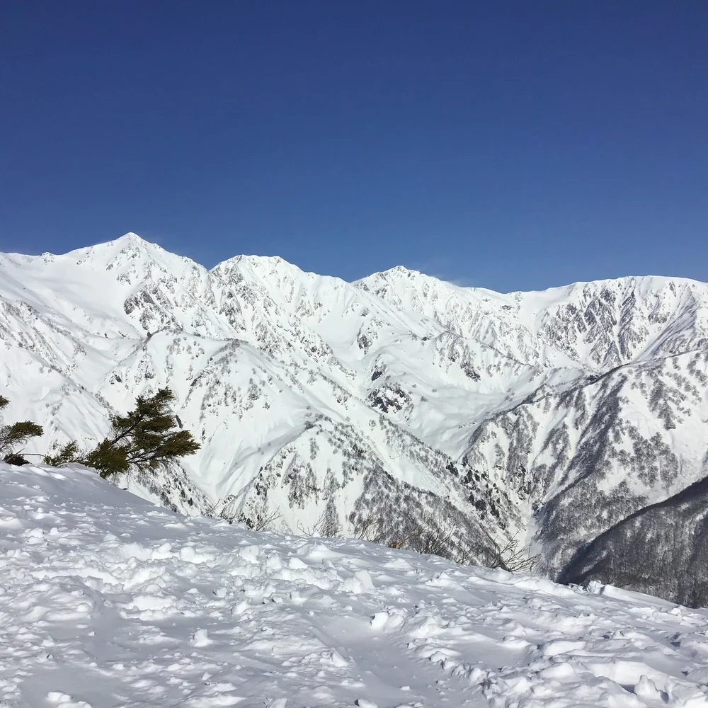 投稿写真：白馬岳