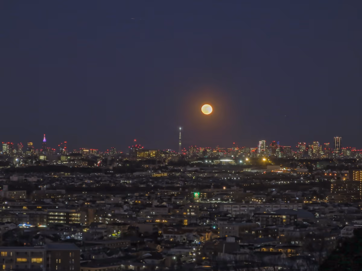 投稿写真：満月と東京の夜景
