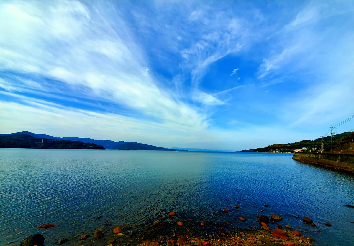 投稿写真：なみのうお