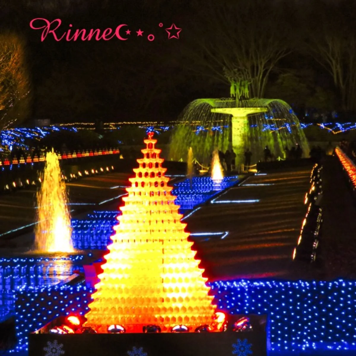 投稿写真：Xmasイルミネーション🎅🎄⛄🎁❤