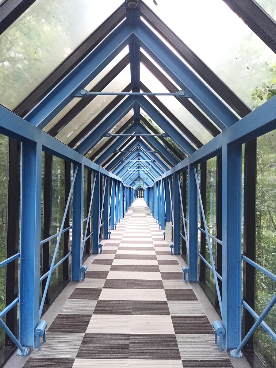 YYさんの投稿写真