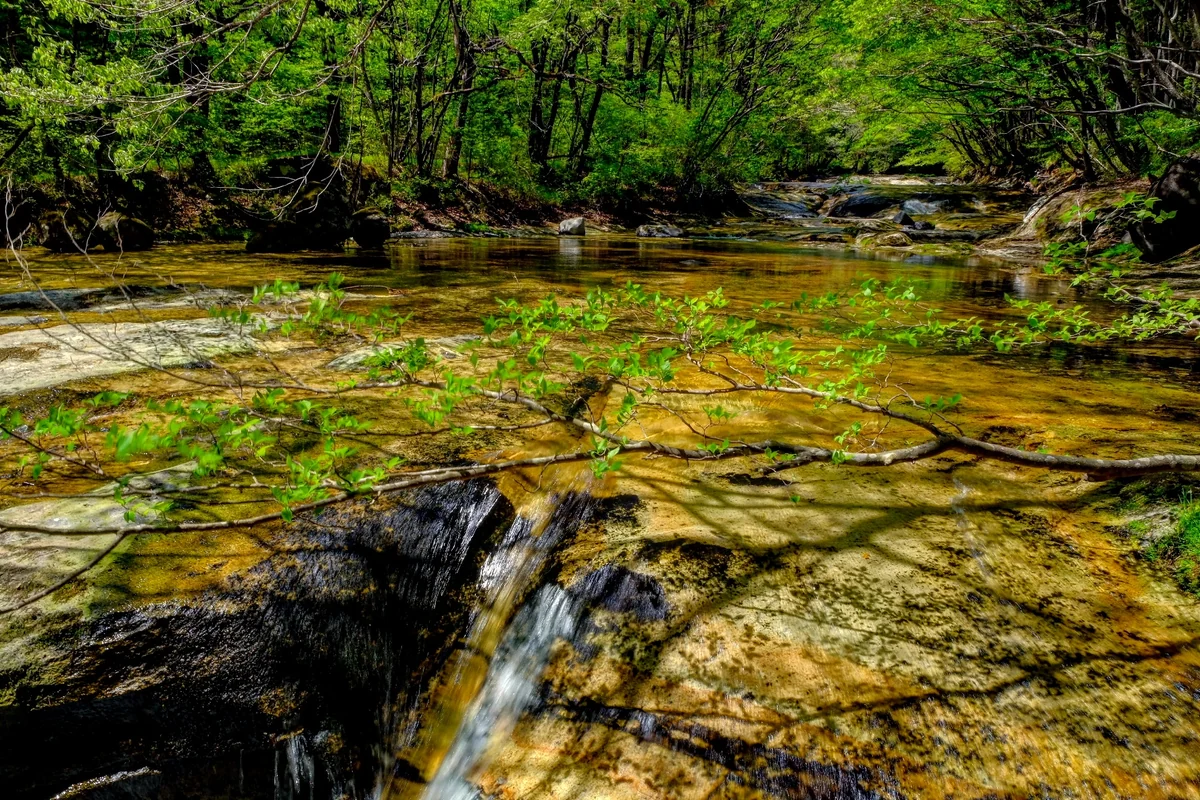 投稿写真：清流