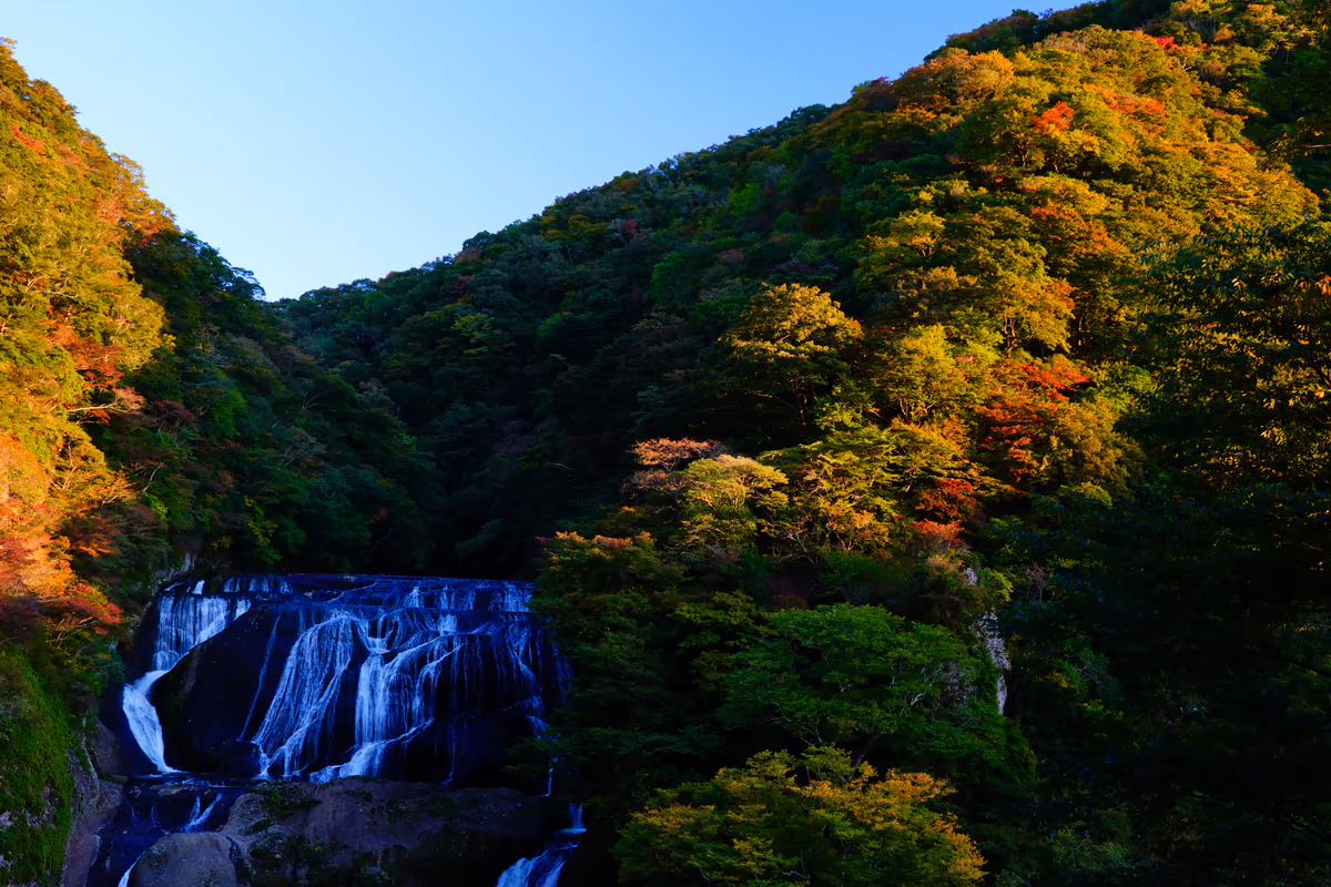 投稿写真：稜線紅葉と袋田の滝
