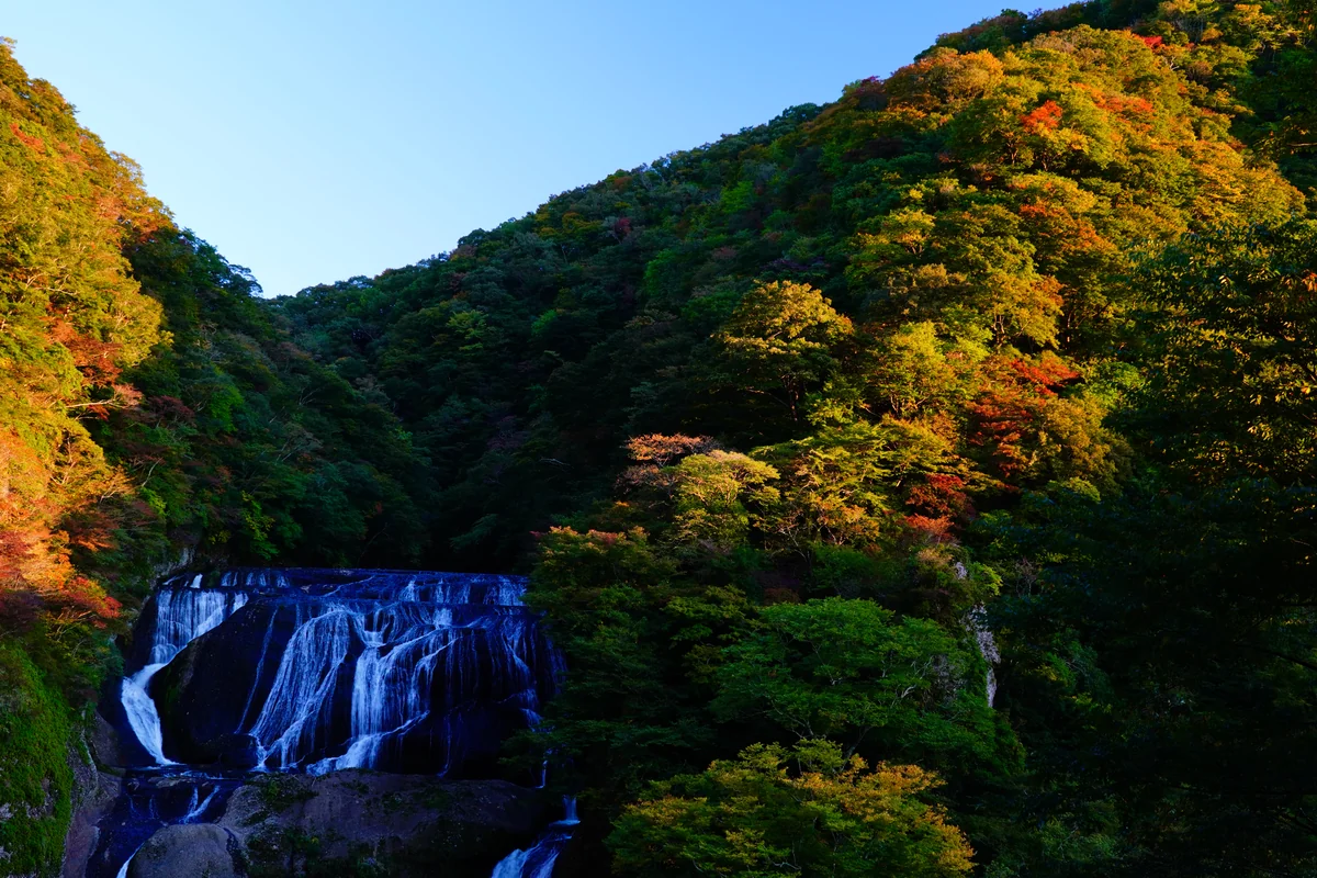 投稿写真：稜線紅葉と袋田の滝