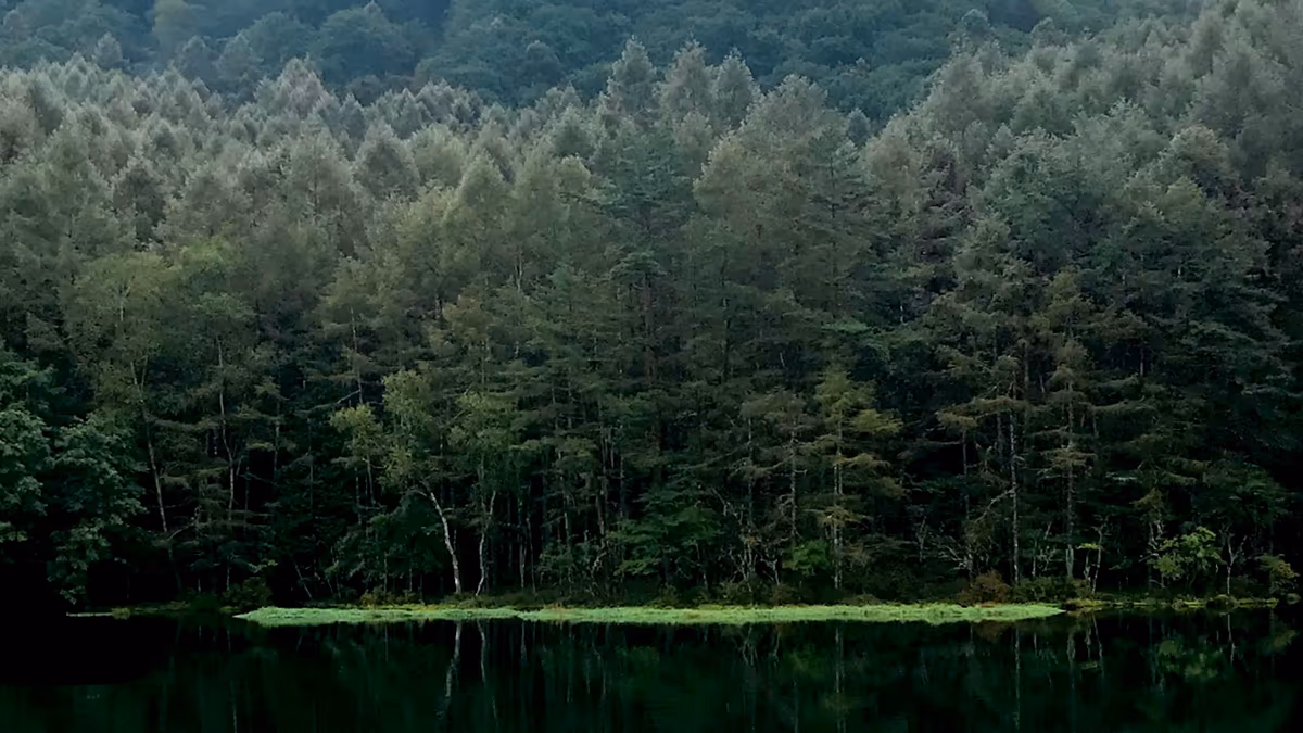 投稿写真：御射鹿池