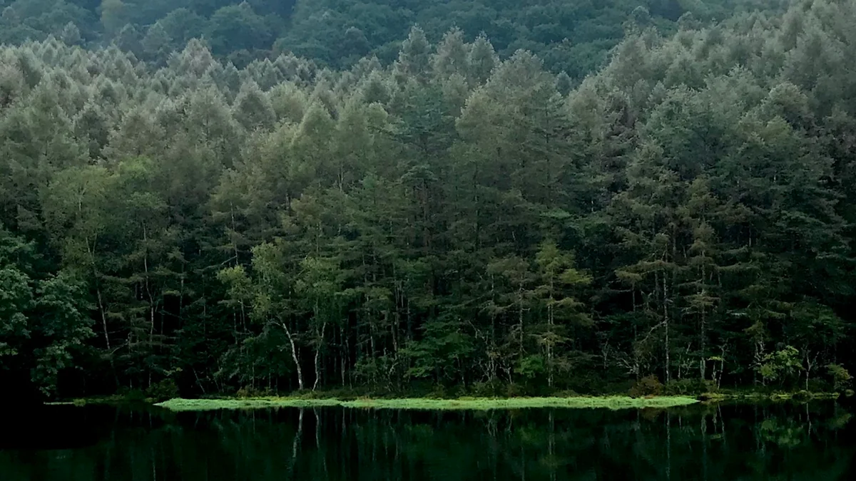 投稿写真：御射鹿池