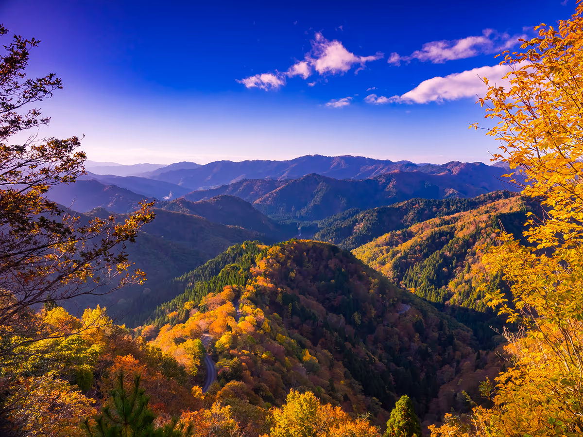 投稿写真：晩秋小入谷の紅葉２０１８
