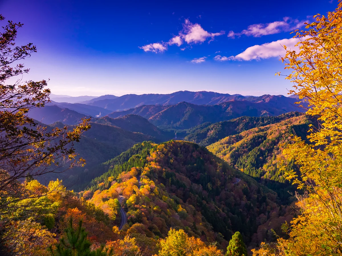 投稿写真：晩秋小入谷の紅葉２０１８