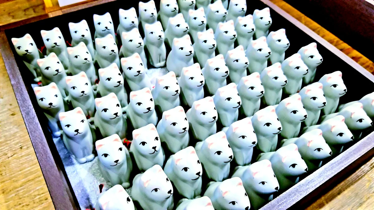 投稿写真：早太郎軍団！