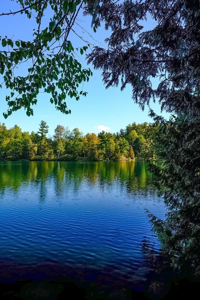 投稿：黄葉のPink Lake / カナダ